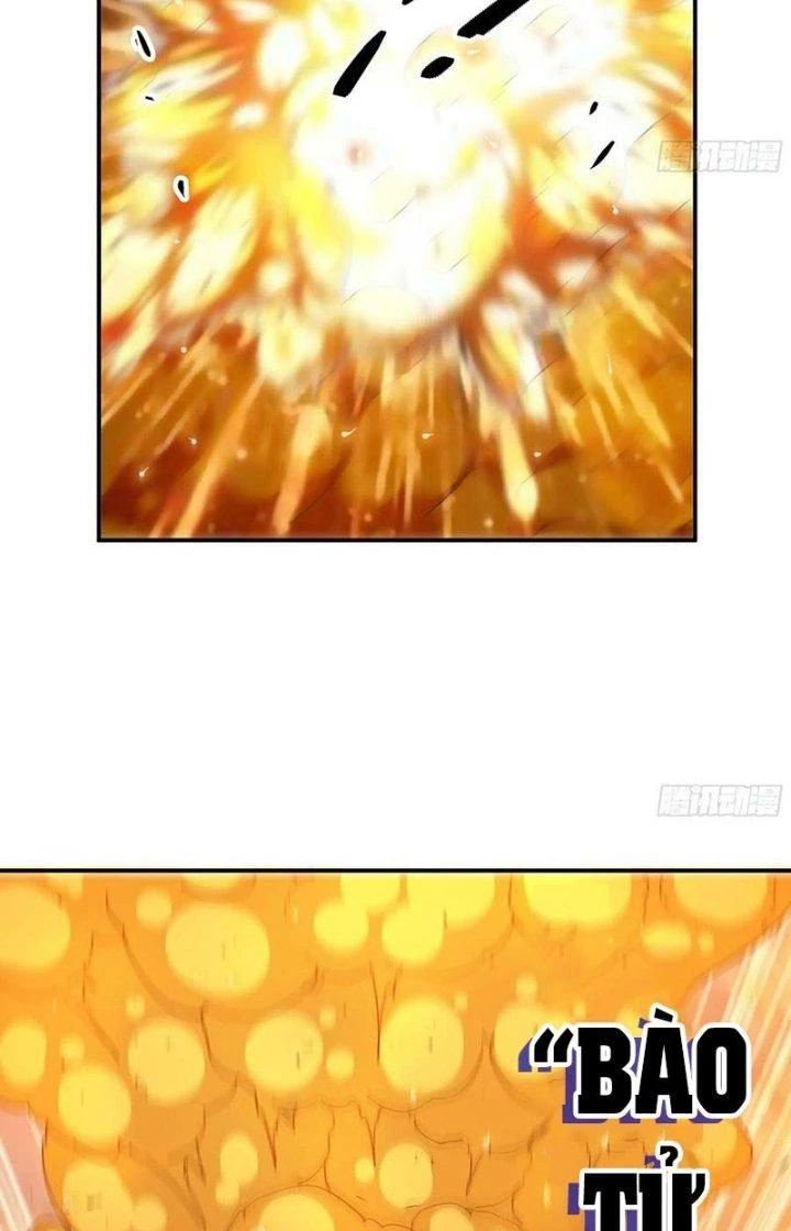 Dũng Sĩ Nấm Chapter 95 - Trang 4