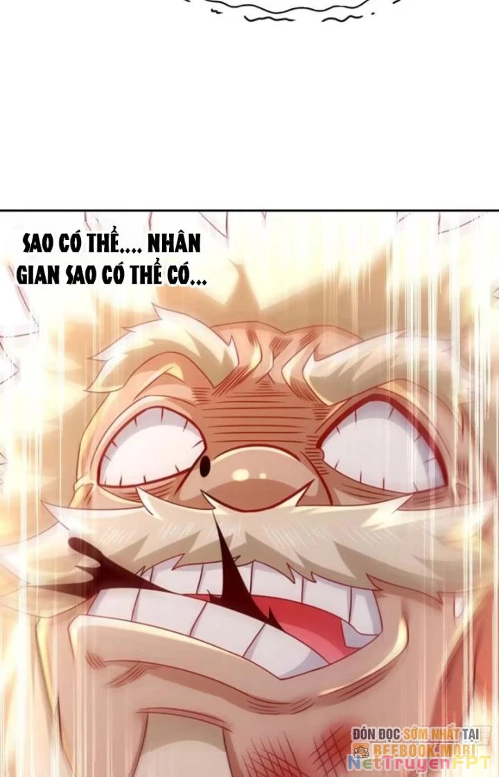 Bắt Đầu Có Được Bảy Vị Tuyệt Sắc Sư Tỷ Chapter 53 - Trang 3