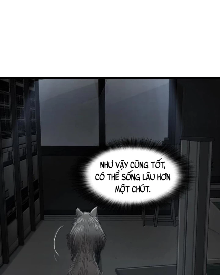 Bàn Tay Thần Thánh Chapter 42 - Trang 3