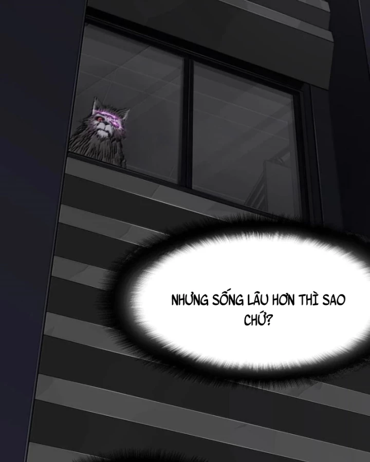 Bàn Tay Thần Thánh Chapter 42 - Trang 3