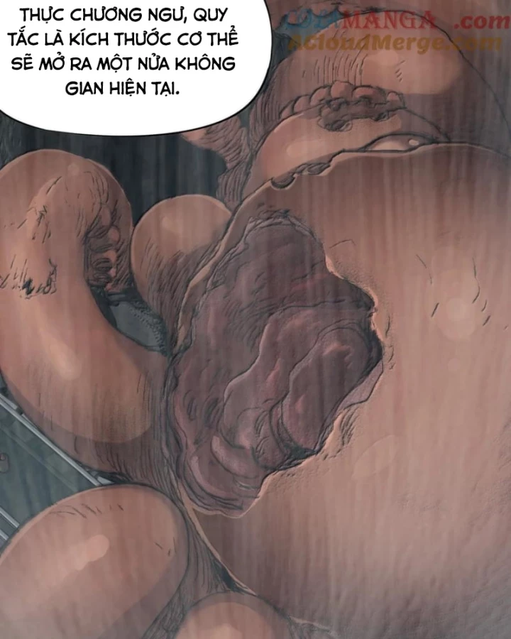 Bàn Tay Thần Thánh Chapter 42 - Trang 3