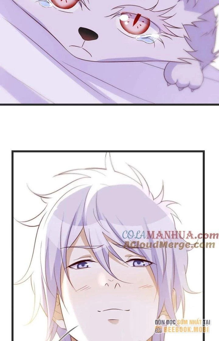 Trước Khi Vô Địch Ta Nợ Tình Quá Nhiều Chapter 109 - Trang 3