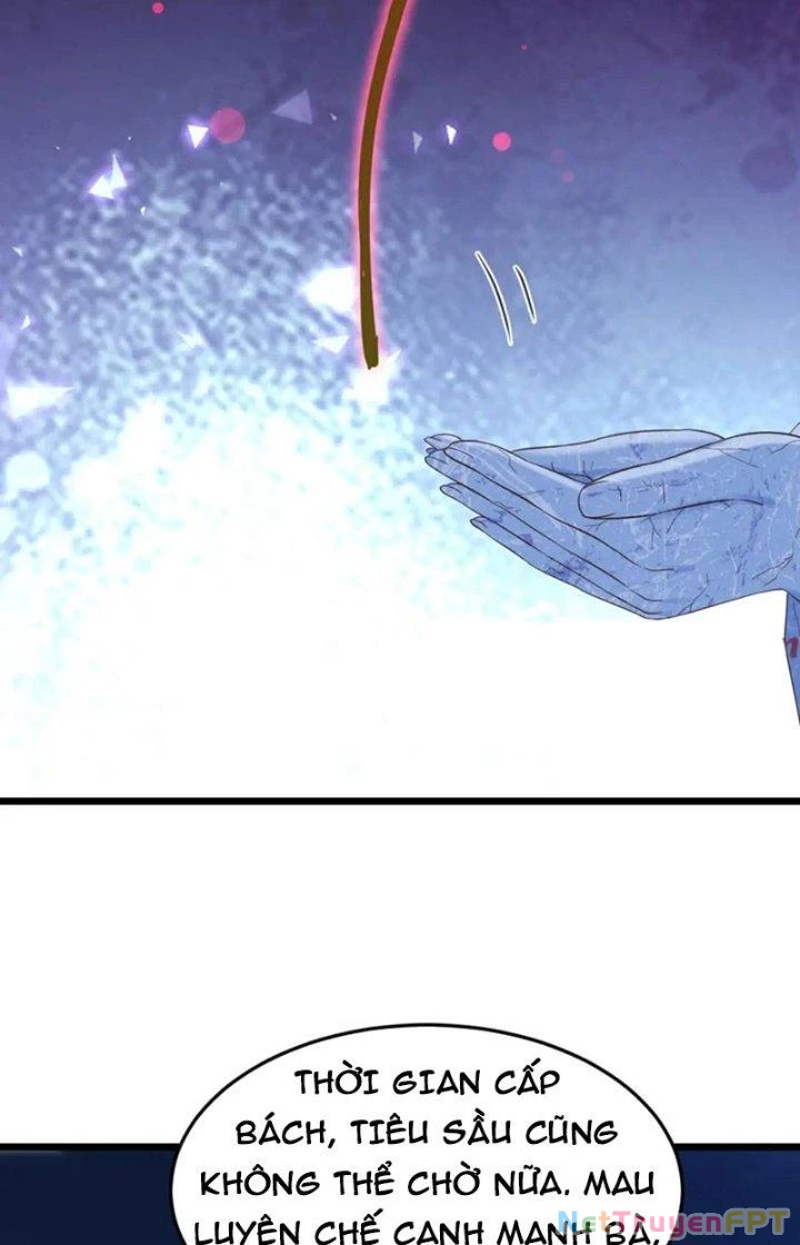Trước Khi Vô Địch Ta Nợ Tình Quá Nhiều Chapter 122 - Trang 3