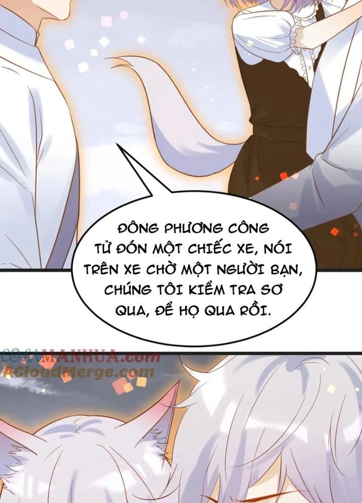 Trước Khi Vô Địch Ta Nợ Tình Quá Nhiều Chapter 132 - Trang 3