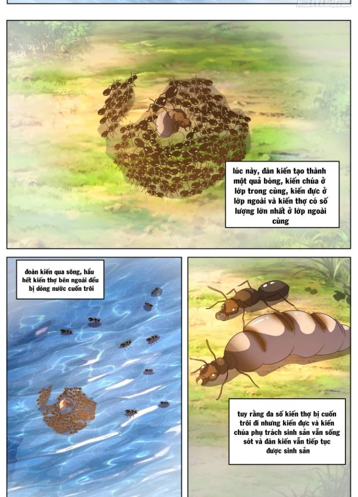 Tương Vong Sư Chapter 65 - Next Chapter 66