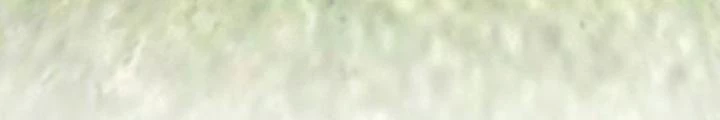 Phá Tà: Có Đứa Kêu Tao Livestream Bắt Quỷ Chapter 31 - Trang 3