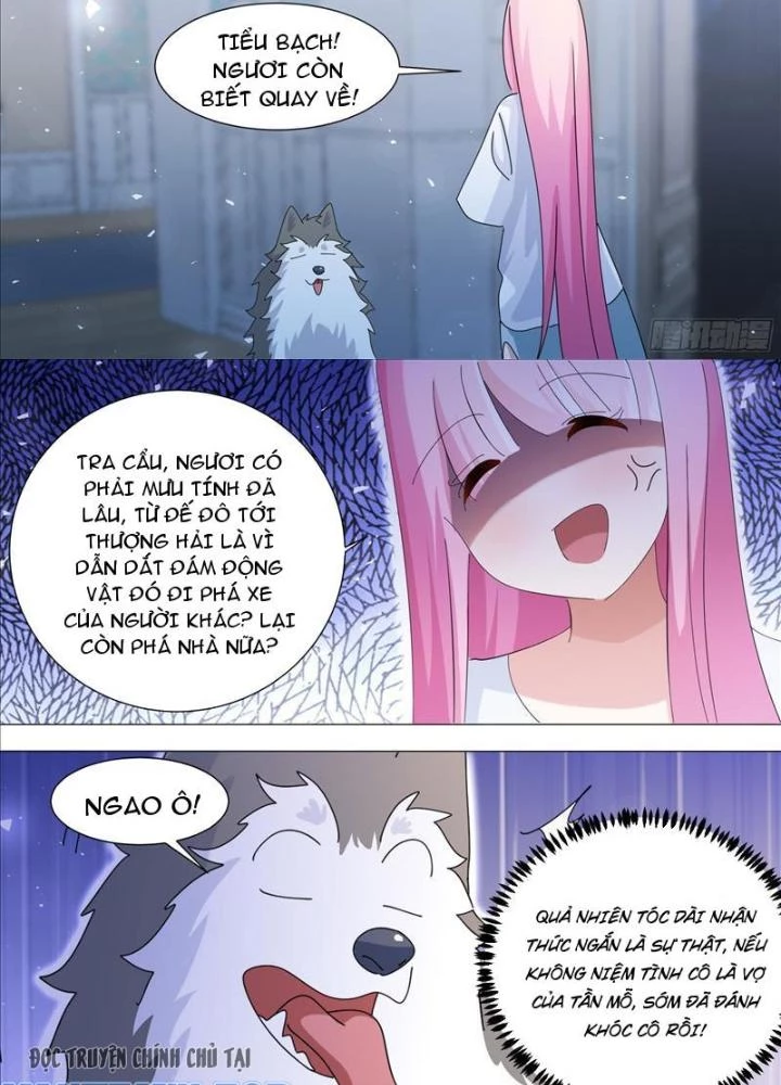 Trọng Sinh Thành Chó Của Nữ Thần Chapter 378 - Trang 4