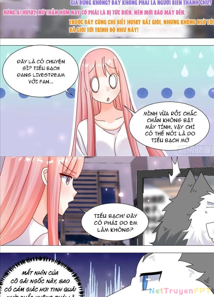 Trọng Sinh Thành Chó Của Nữ Thần Chapter 379 - Trang 4