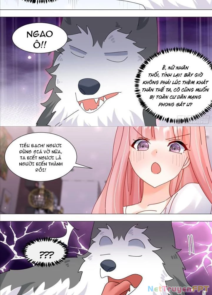 Trọng Sinh Thành Chó Của Nữ Thần Chapter 379 - Trang 4