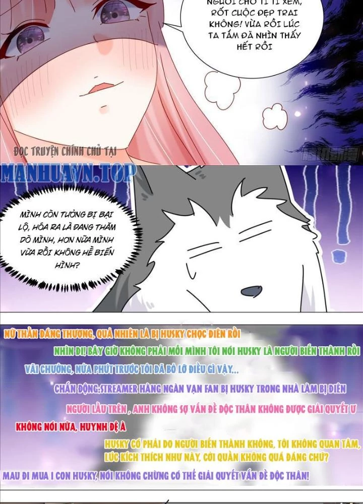 Trọng Sinh Thành Chó Của Nữ Thần Chapter 379 - Trang 4