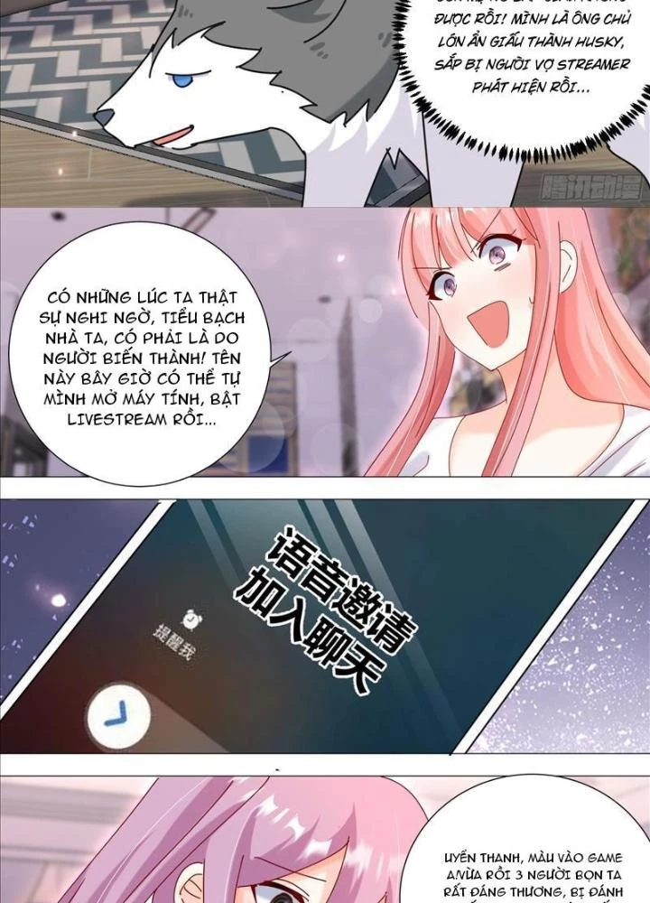 Trọng Sinh Thành Chó Của Nữ Thần Chapter 379 - Trang 4