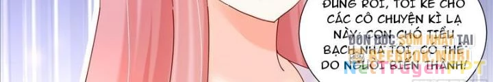 Trọng Sinh Thành Chó Của Nữ Thần Chapter 379 - Trang 4