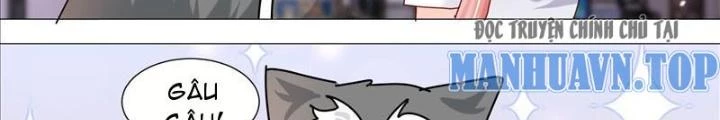 Trọng Sinh Thành Chó Của Nữ Thần Chapter 381 - Trang 4