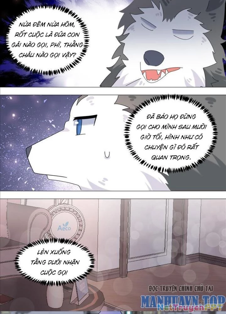 Trọng Sinh Thành Chó Của Nữ Thần Chapter 381 - Trang 4