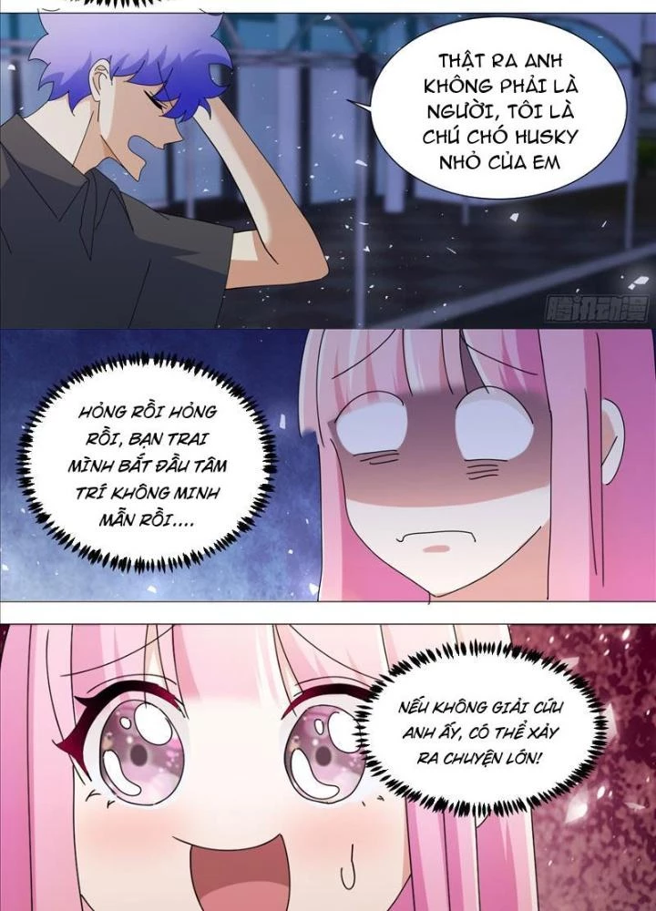 Trọng Sinh Thành Chó Của Nữ Thần Chapter 382 - Trang 4