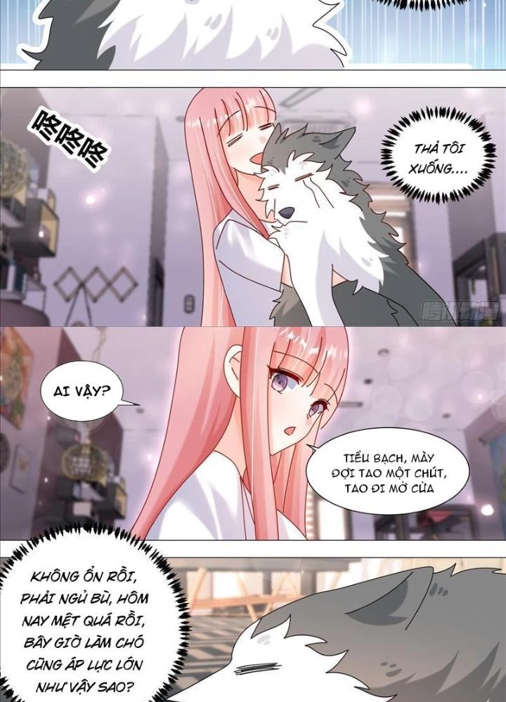 Trọng Sinh Thành Chó Của Nữ Thần Chapter 385 - Trang 4