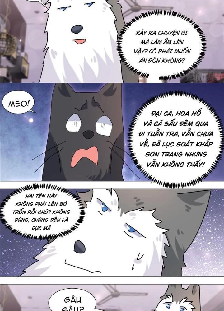 Trọng Sinh Thành Chó Của Nữ Thần Chapter 385 - Trang 4