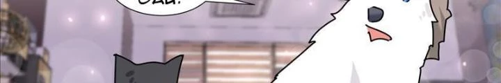 Trọng Sinh Thành Chó Của Nữ Thần Chapter 385 - Trang 4