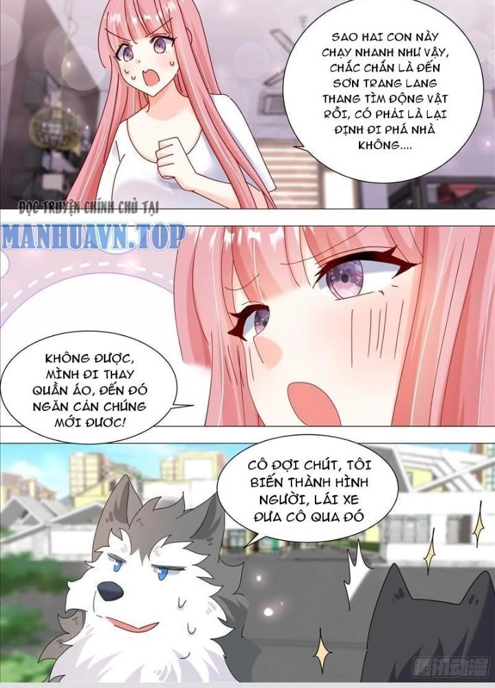 Trọng Sinh Thành Chó Của Nữ Thần Chapter 385 - Trang 4