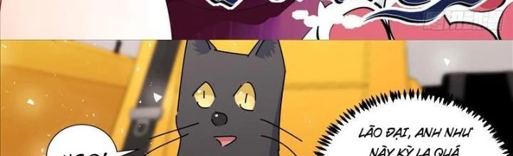 Trọng Sinh Thành Chó Của Nữ Thần Chapter 386 - Trang 4