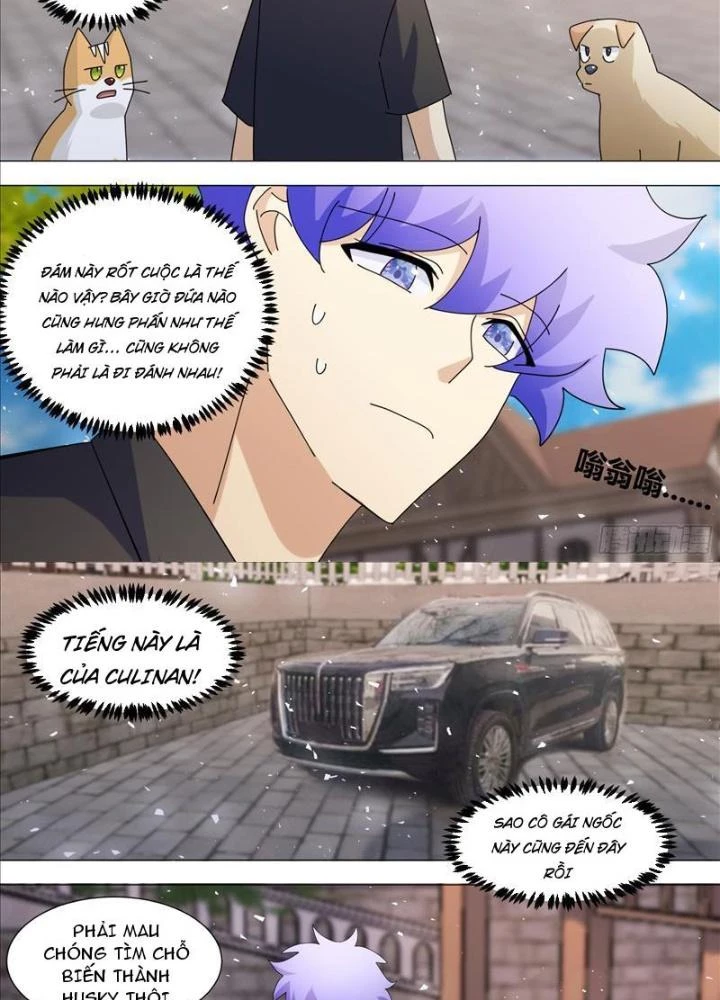 Trọng Sinh Thành Chó Của Nữ Thần Chapter 386 - Trang 4