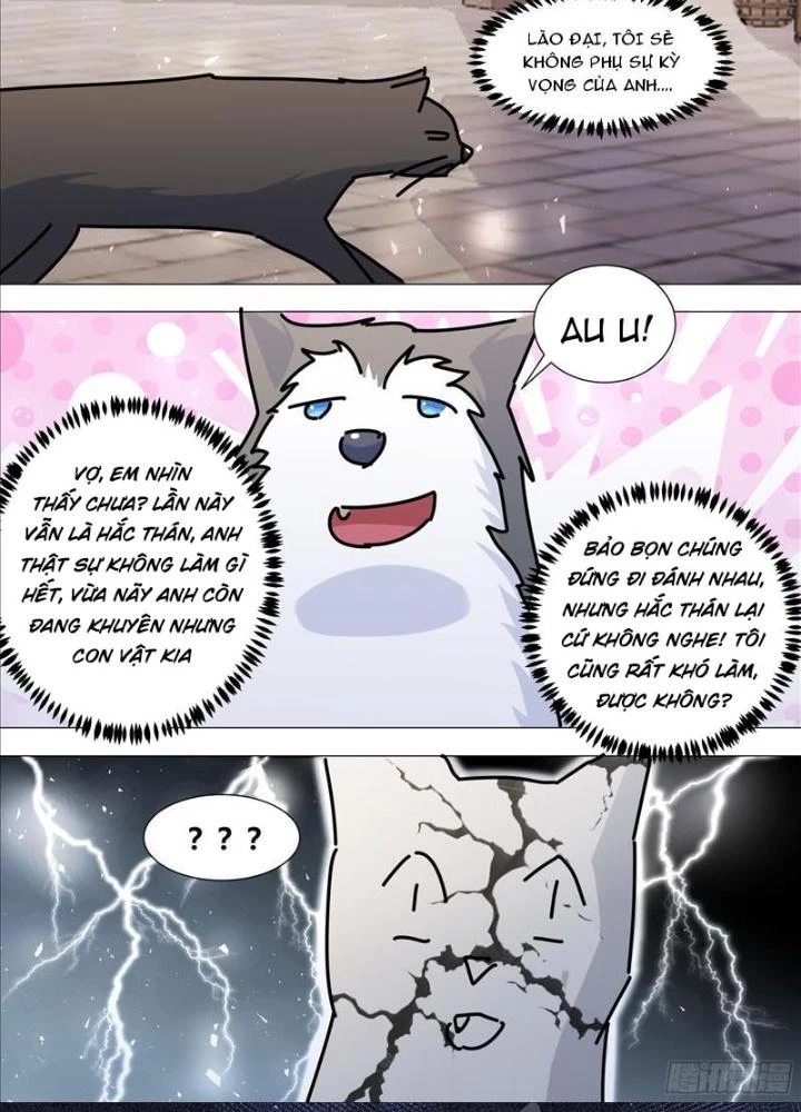 Trọng Sinh Thành Chó Của Nữ Thần Chapter 386 - Trang 4