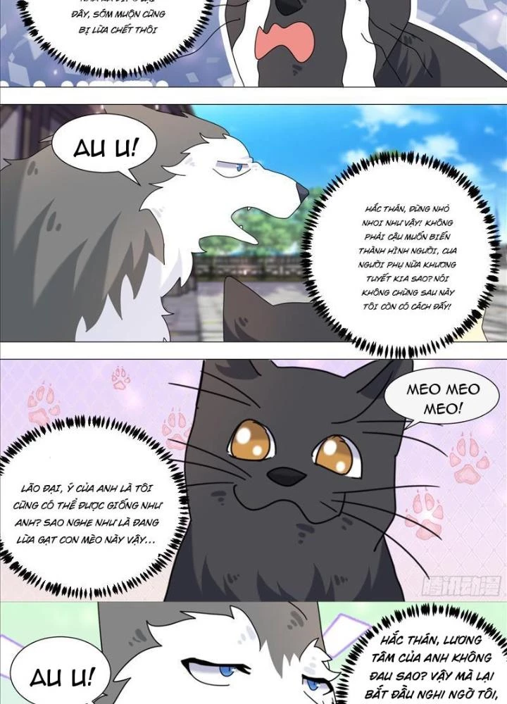 Trọng Sinh Thành Chó Của Nữ Thần Chapter 387 - Trang 4