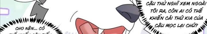 Trọng Sinh Thành Chó Của Nữ Thần Chapter 387 - Trang 4