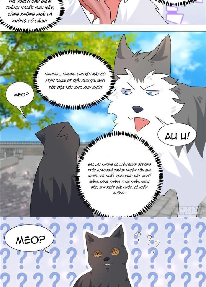 Trọng Sinh Thành Chó Của Nữ Thần Chapter 387 - Trang 4