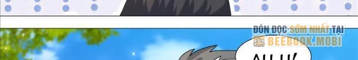 Trọng Sinh Thành Chó Của Nữ Thần Chapter 387 - Trang 4
