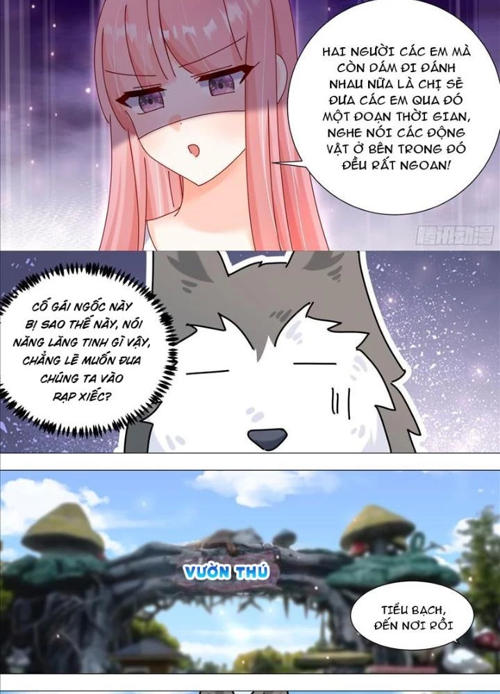 Trọng Sinh Thành Chó Của Nữ Thần Chapter 387 - Trang 4