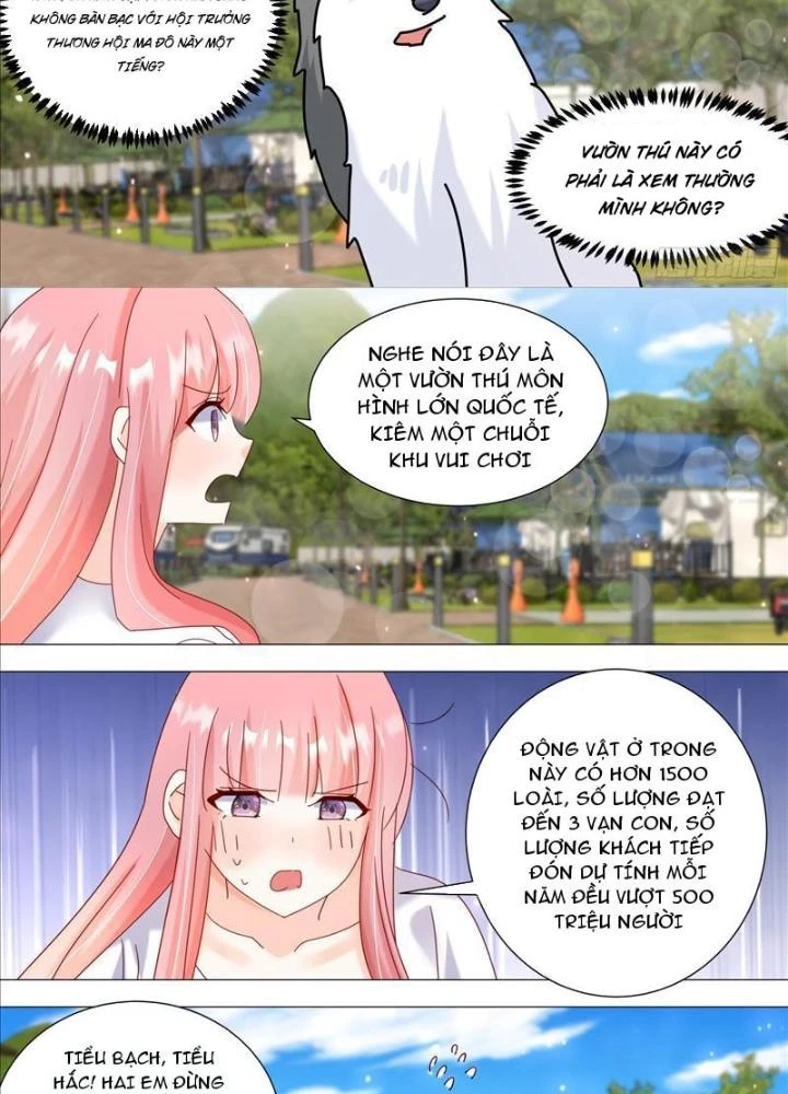 Trọng Sinh Thành Chó Của Nữ Thần Chapter 387 - Trang 4