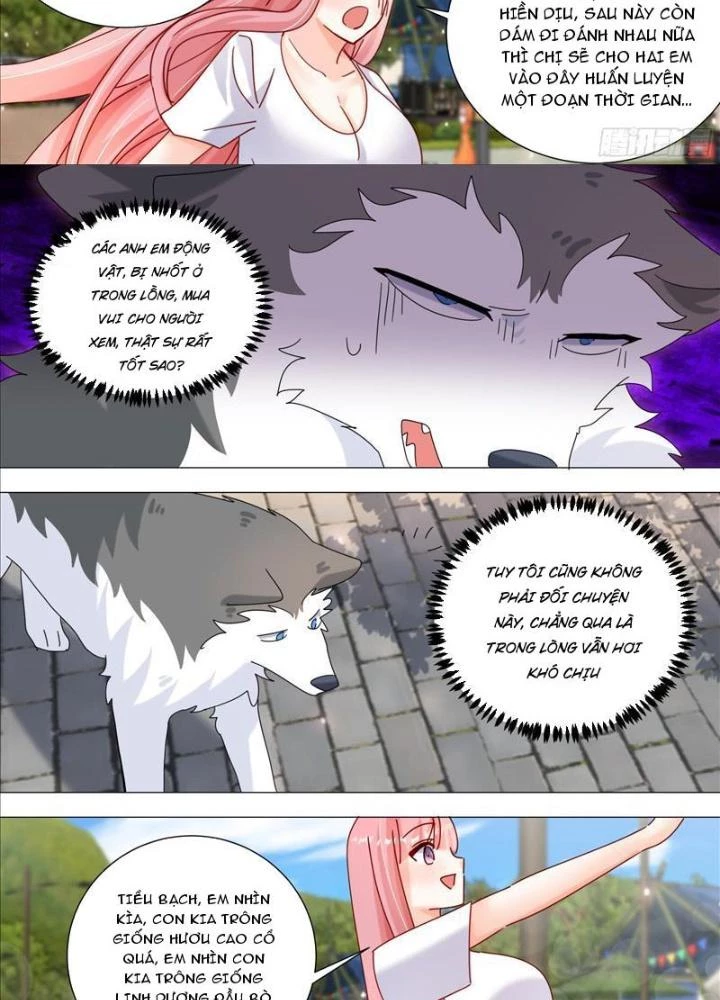 Trọng Sinh Thành Chó Của Nữ Thần Chapter 387 - Trang 4