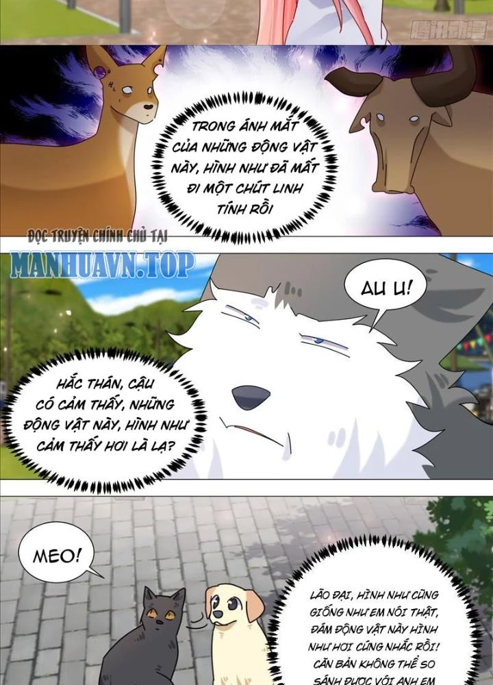 Trọng Sinh Thành Chó Của Nữ Thần Chapter 387 - Trang 4