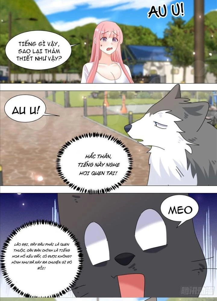 Trọng Sinh Thành Chó Của Nữ Thần Chapter 387 - Trang 4