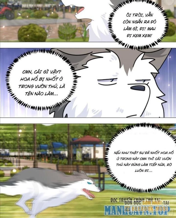 Trọng Sinh Thành Chó Của Nữ Thần Chapter 387 - Trang 4