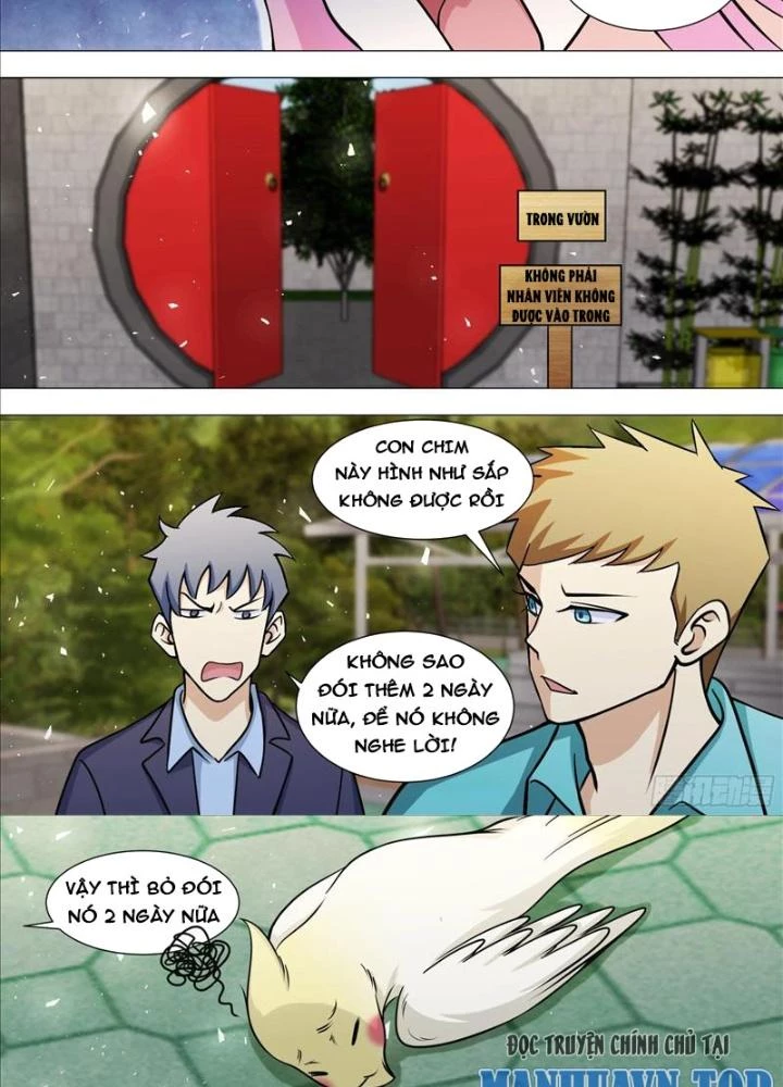 Trọng Sinh Thành Chó Của Nữ Thần Chapter 388 - Trang 4