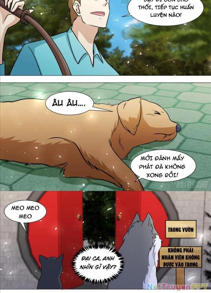 Trọng Sinh Thành Chó Của Nữ Thần Chapter 388 - Trang 4
