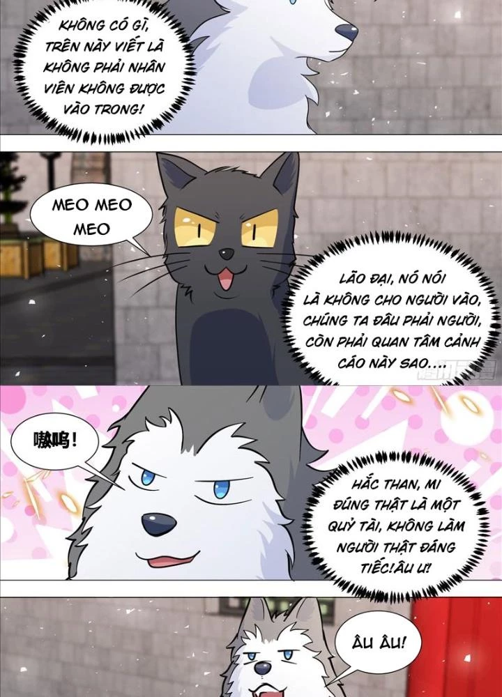 Trọng Sinh Thành Chó Của Nữ Thần Chapter 388 - Trang 4