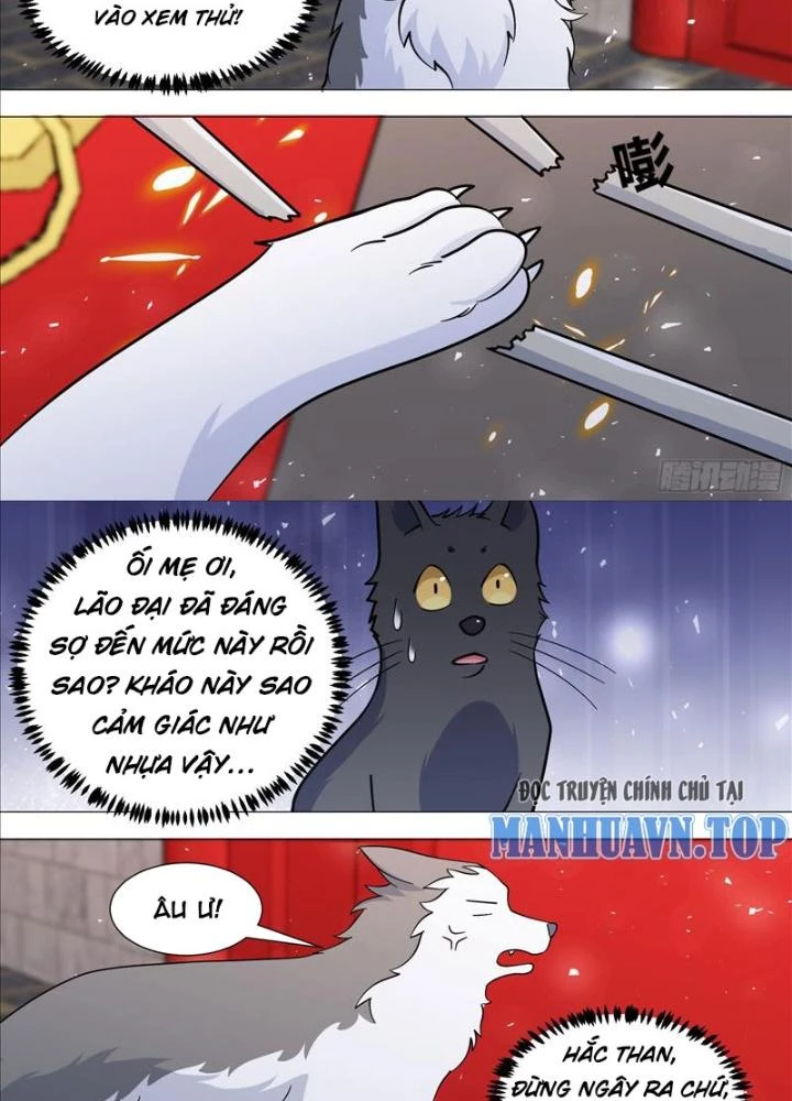 Trọng Sinh Thành Chó Của Nữ Thần Chapter 388 - Trang 4