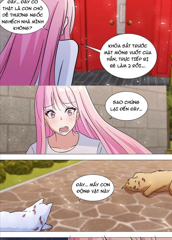 Trọng Sinh Thành Chó Của Nữ Thần Chapter 388 - Trang 4