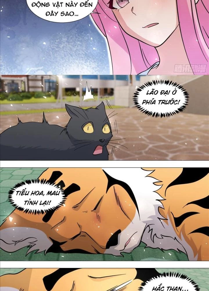 Trọng Sinh Thành Chó Của Nữ Thần Chapter 388 - Trang 4