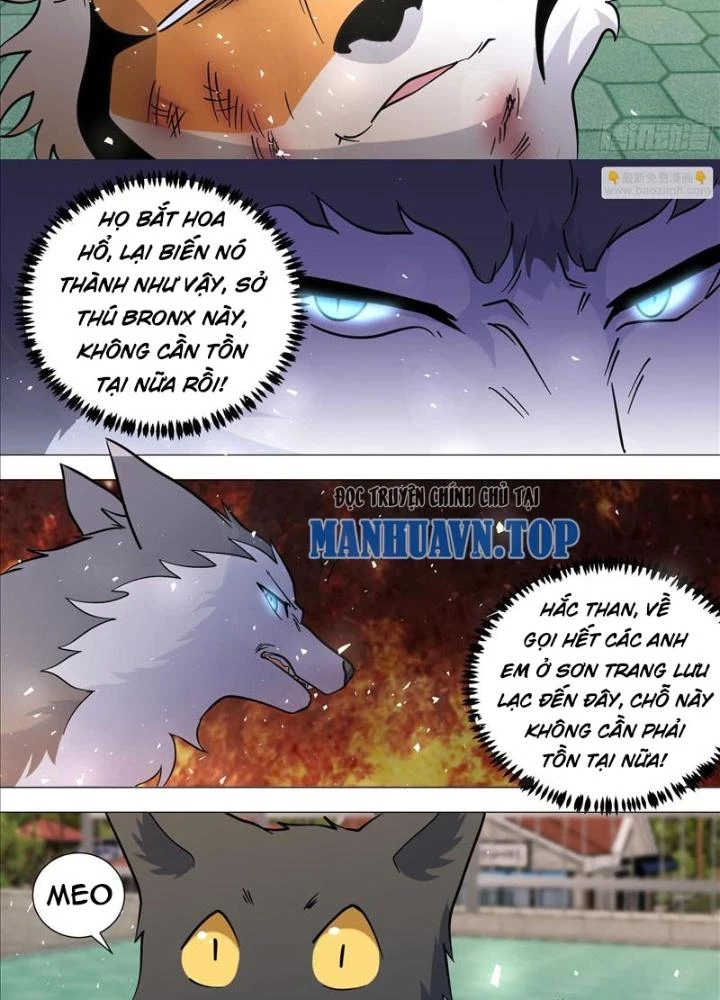 Trọng Sinh Thành Chó Của Nữ Thần Chapter 388 - Trang 4