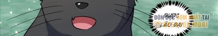 Trọng Sinh Thành Chó Của Nữ Thần Chapter 388 - Trang 4