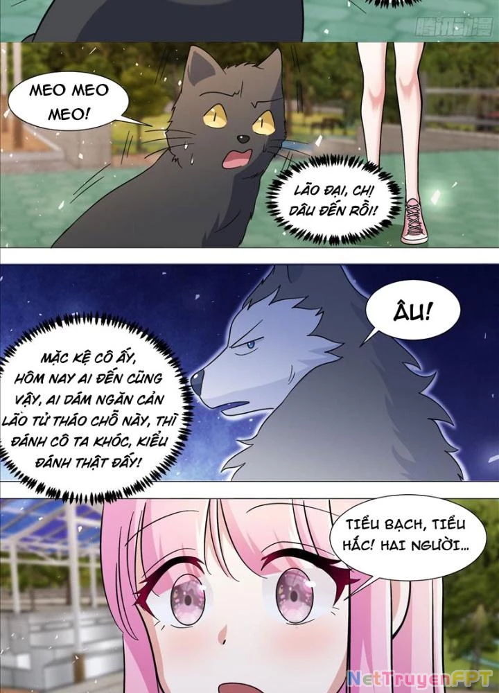 Trọng Sinh Thành Chó Của Nữ Thần Chapter 388 - Trang 4