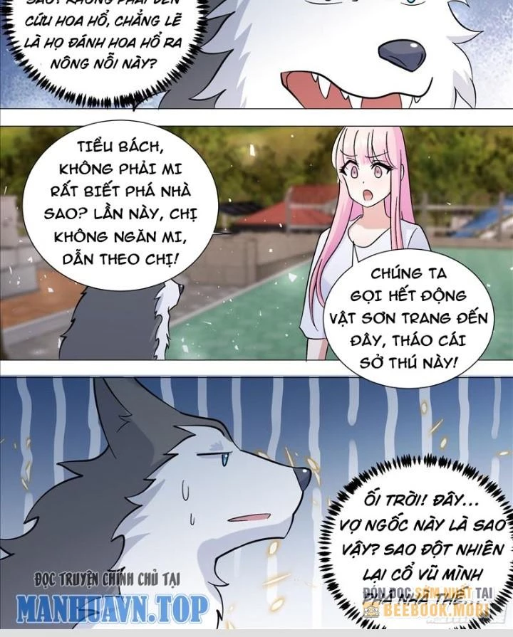 Trọng Sinh Thành Chó Của Nữ Thần Chapter 388 - Trang 4
