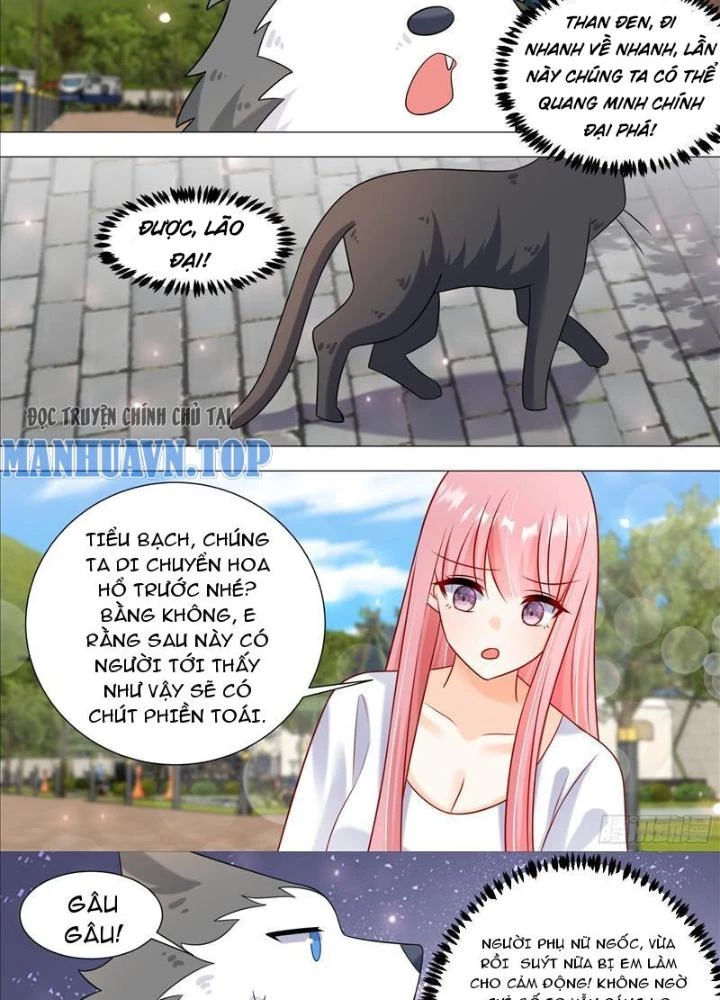 Trọng Sinh Thành Chó Của Nữ Thần Chapter 389 - Trang 4