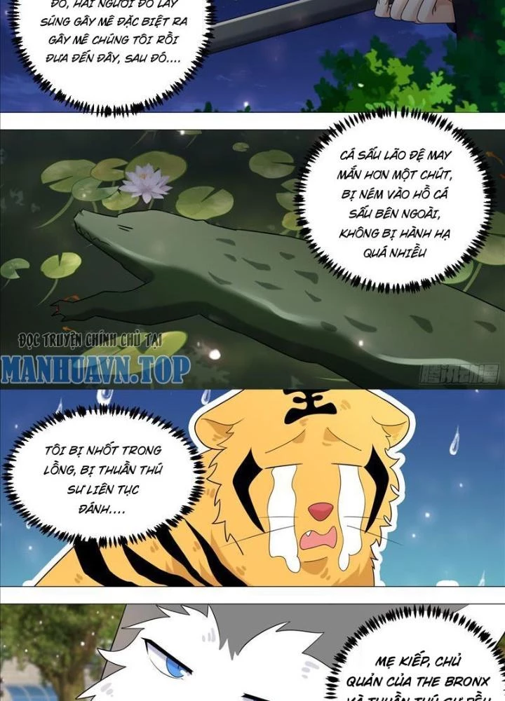 Trọng Sinh Thành Chó Của Nữ Thần Chapter 389 - Trang 4