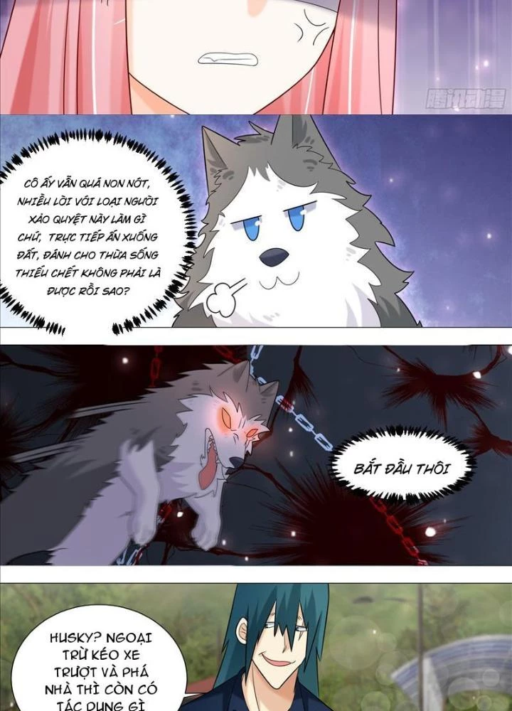 Trọng Sinh Thành Chó Của Nữ Thần Chapter 389 - Trang 4