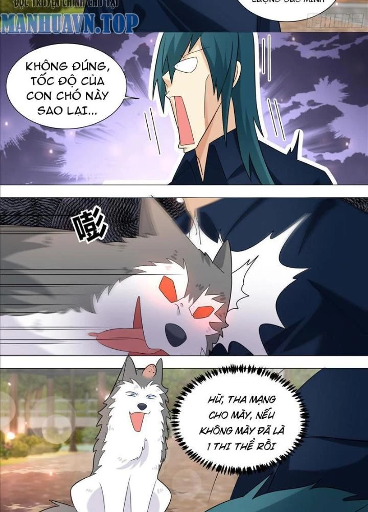 Trọng Sinh Thành Chó Của Nữ Thần Chapter 389 - Trang 4